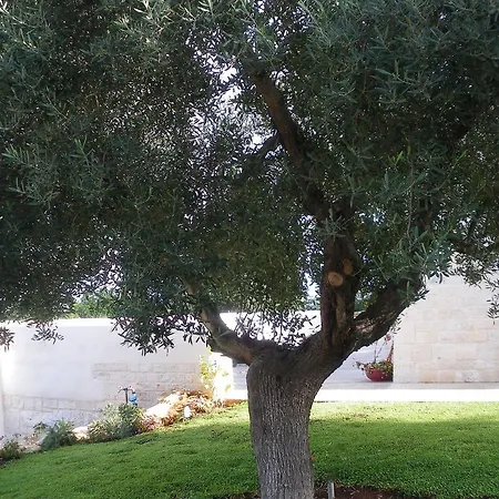 Trullo Particular * Cisternino