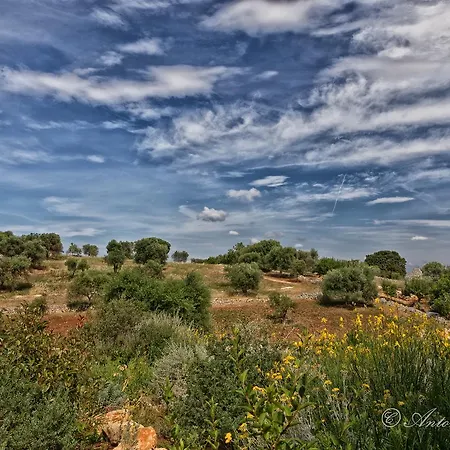 Trullo Particular Cisternino