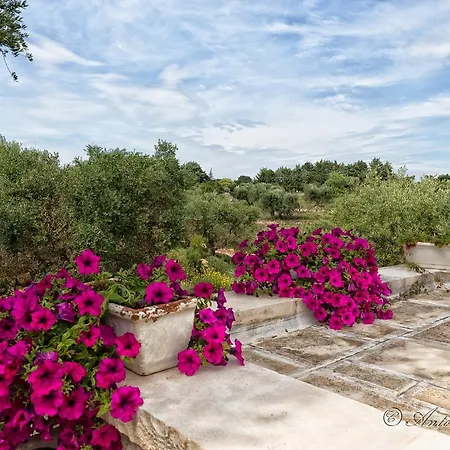 Trullo Particular * Cisternino