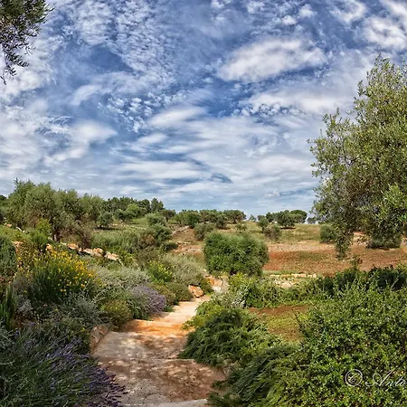 Trullo Particular Affittacamere *